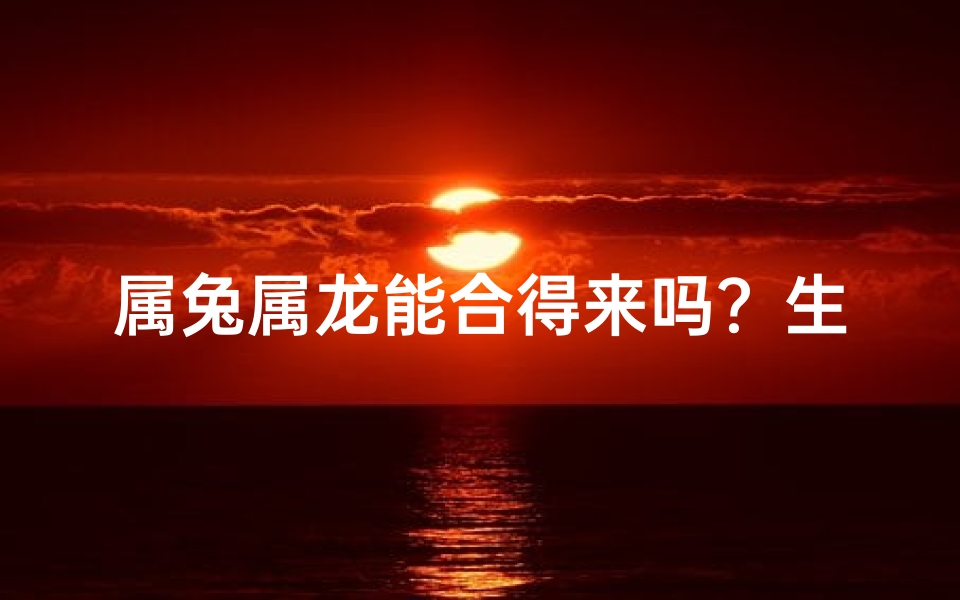 属兔属龙能合得来吗?生肖配对揭秘-算卦网