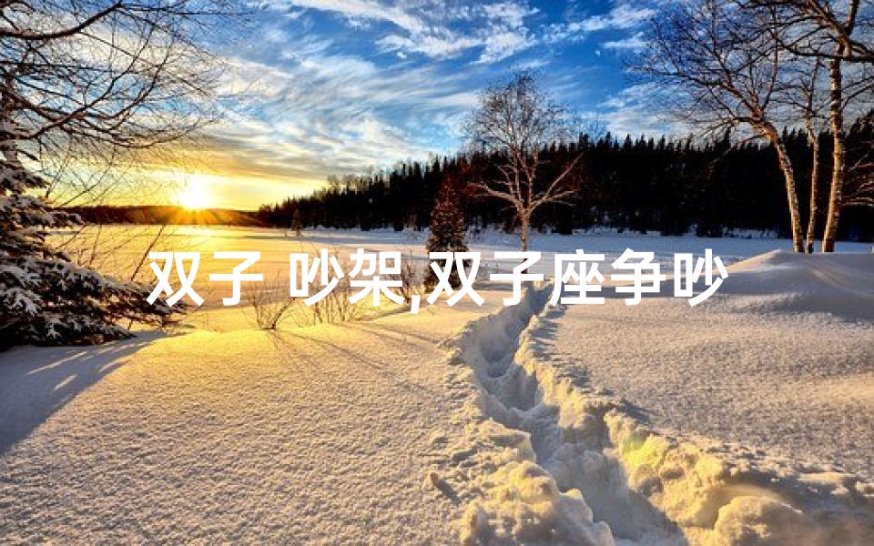 双子 吵架,双子座争吵后,后悔了吗?