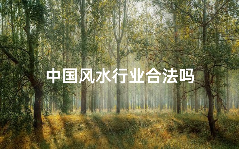 中国风水行业合法吗