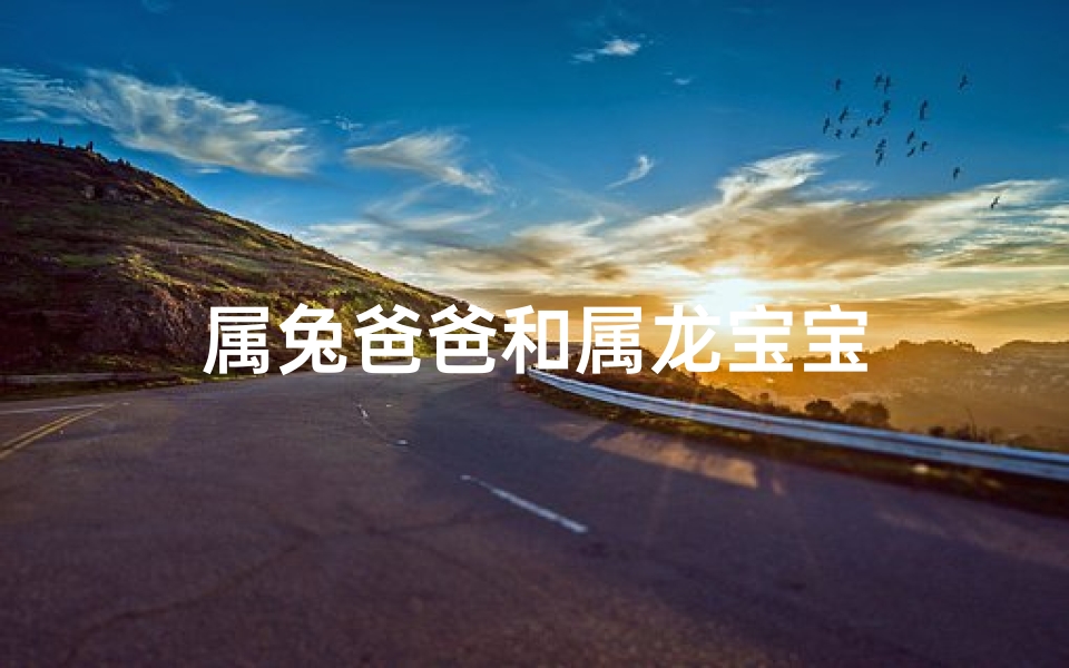 属兔爸爸和属龙宝宝-算卦网