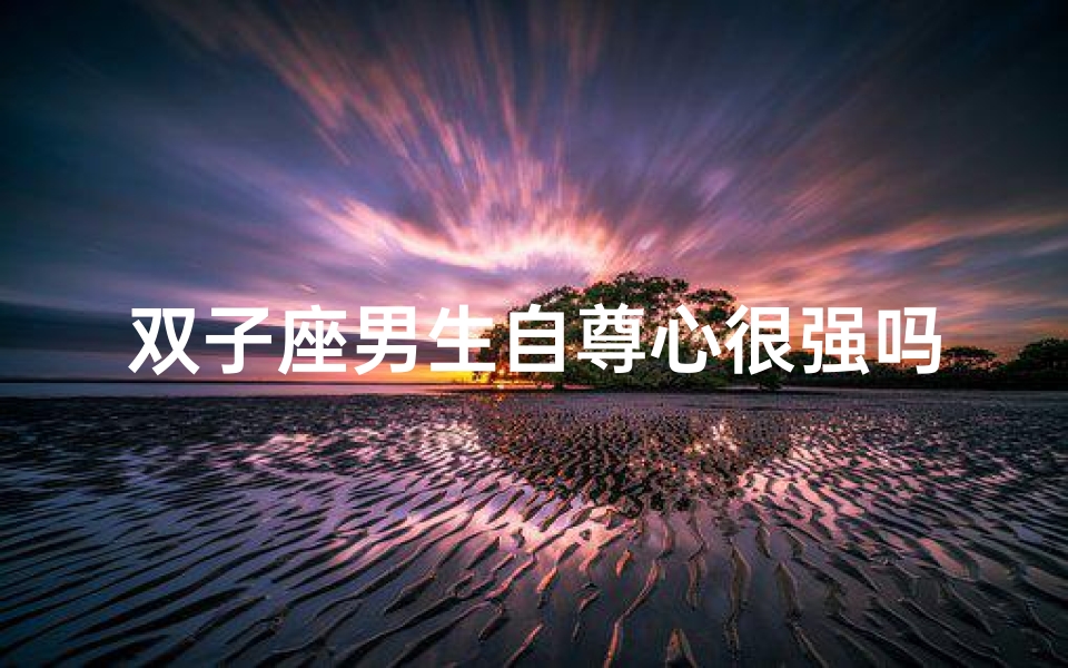 双子座男生自尊心很强吗-算卦网