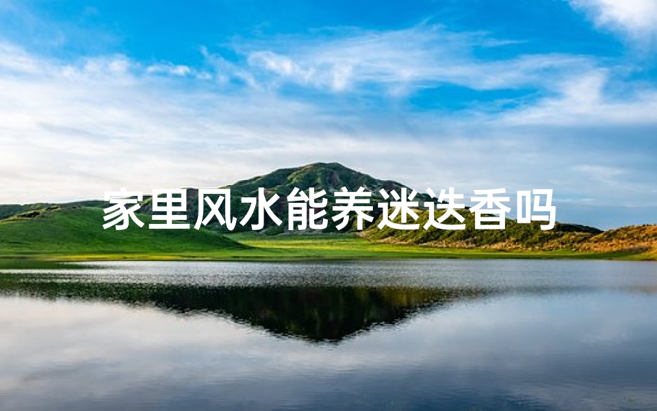 家里风水能养迷迭香吗