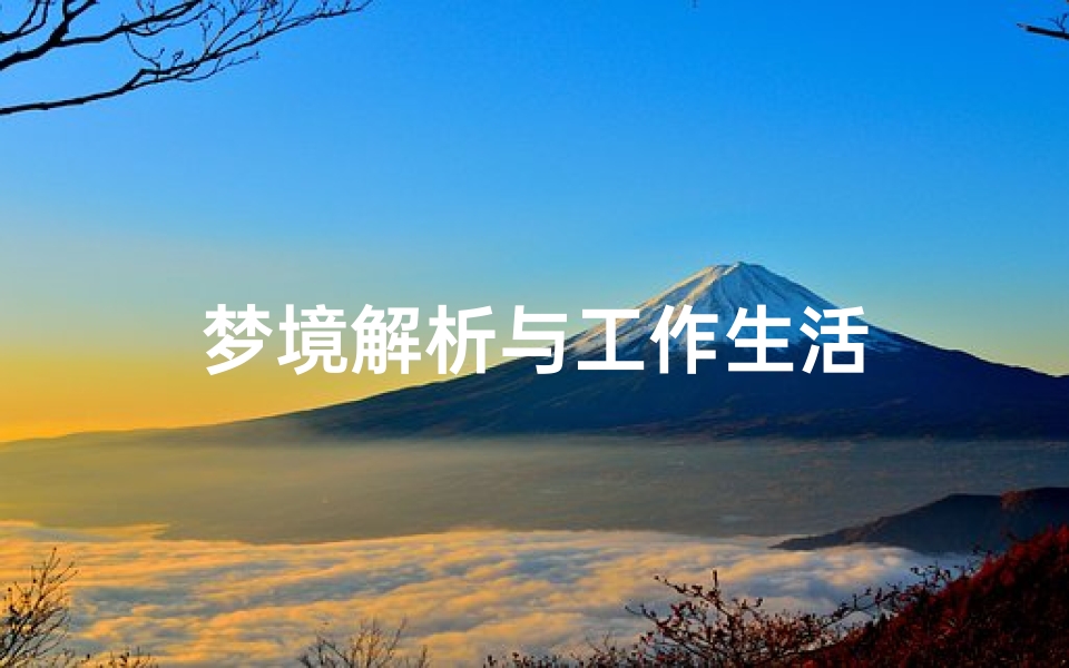 梦境解析与工作生活