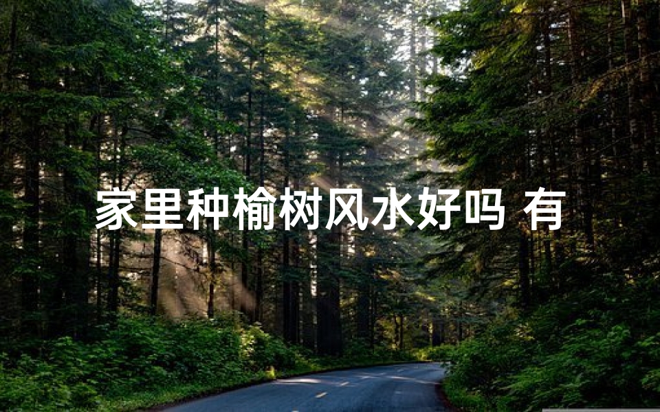 家里种榆树风水好吗 有什么影响;榆钱风水:家里种榆钱,旺运又吉祥