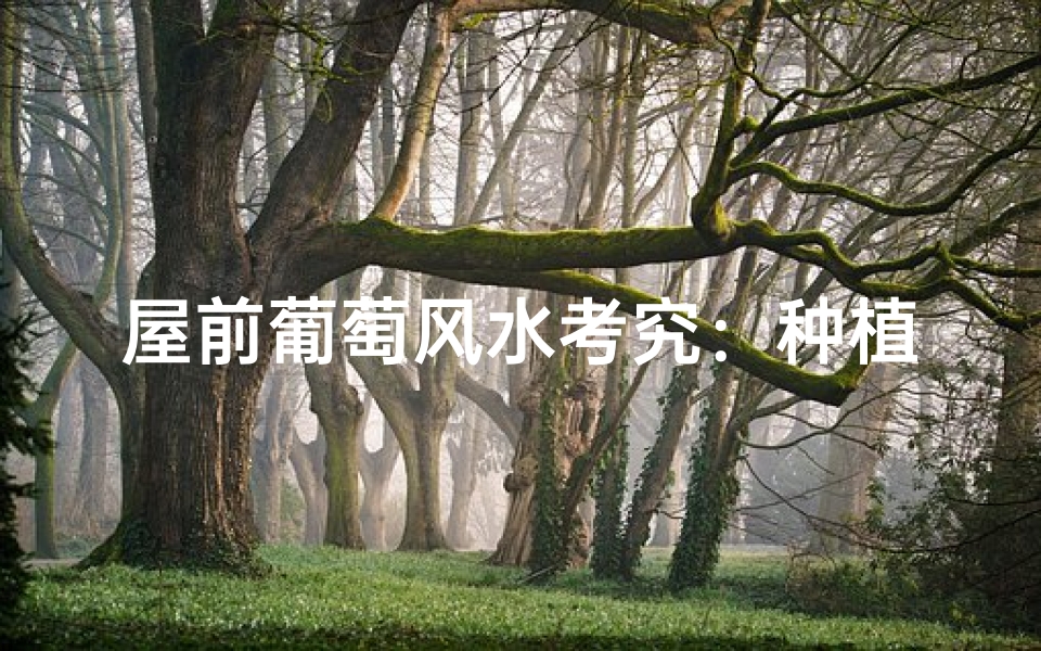 屋前葡萄风水考究:种植宜忌解析