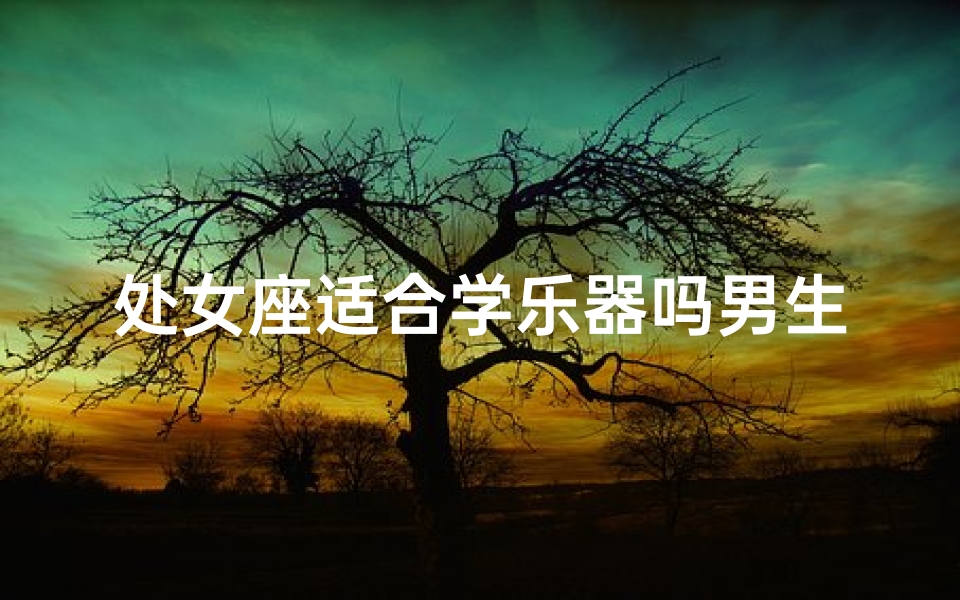 处女座适合学乐器吗男生