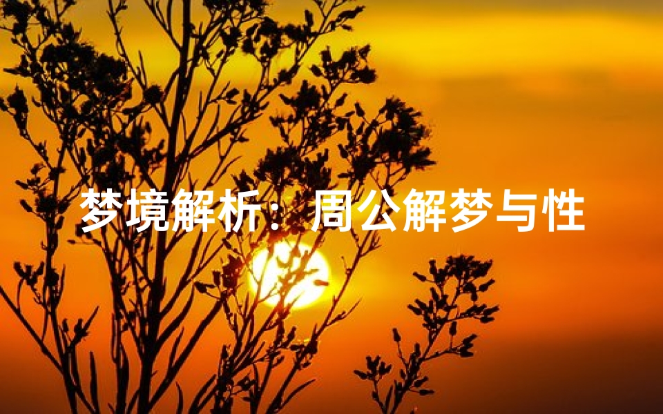 梦境解析:周公解梦与性的象征意义