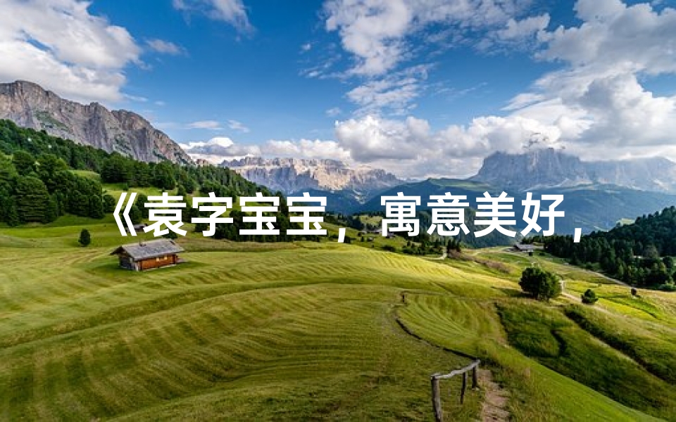 《袁字宝宝,寓意美好,名字独特》-算卦网