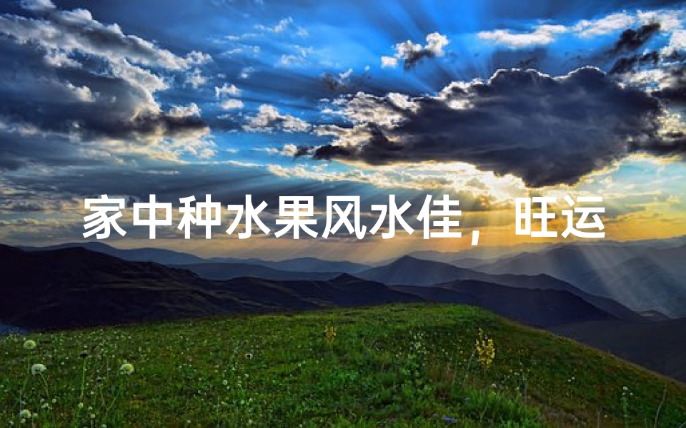 家中种水果风水佳,旺运又养生