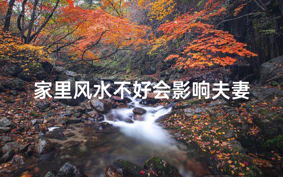 家里风水不好会影响夫妻感情吗(家里风水真的会影响谈恋爱吗?)