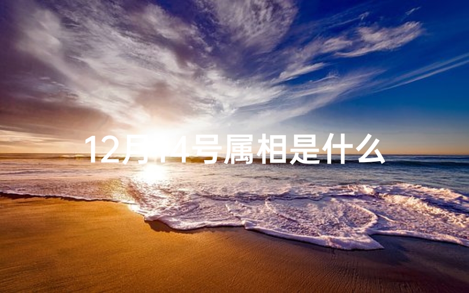 12月14号属相是什么(2024年农历12月14属相,2024年出生属什么生肖 )-算卦网