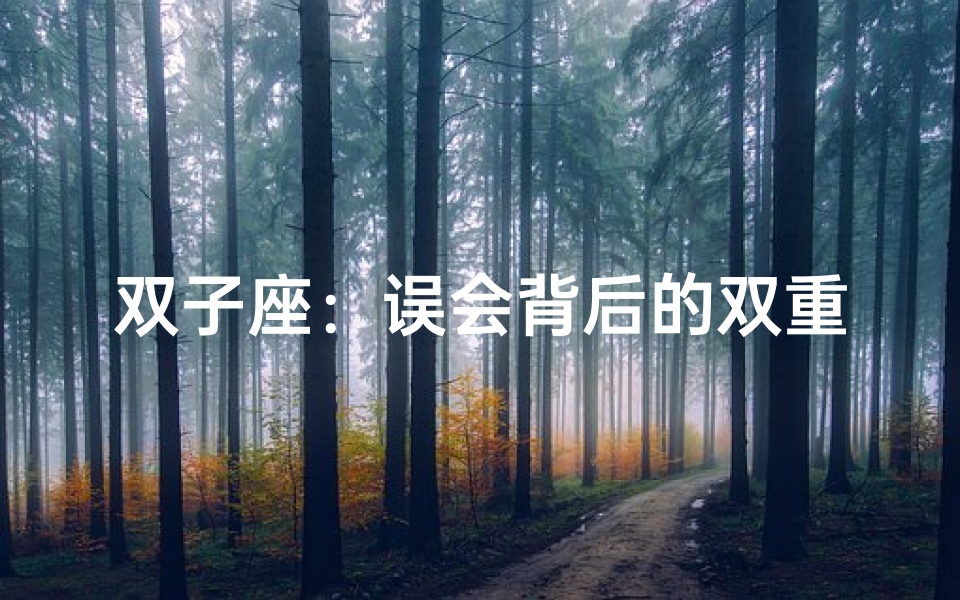 双子座:误会背后的双重性格之谜