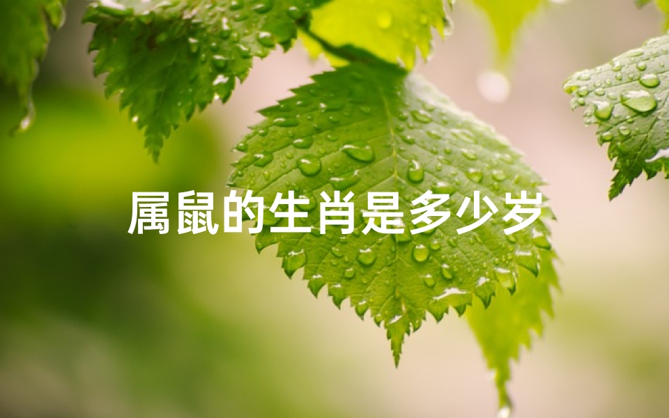 属鼠的生肖是多少岁-算卦网