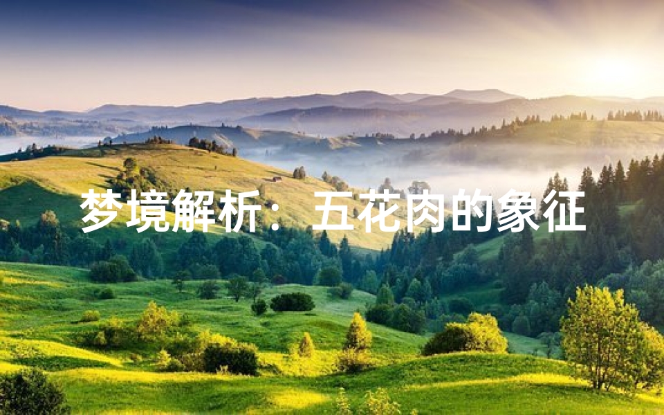 梦境解析:五花肉的象征意义,周公解梦的现代解读