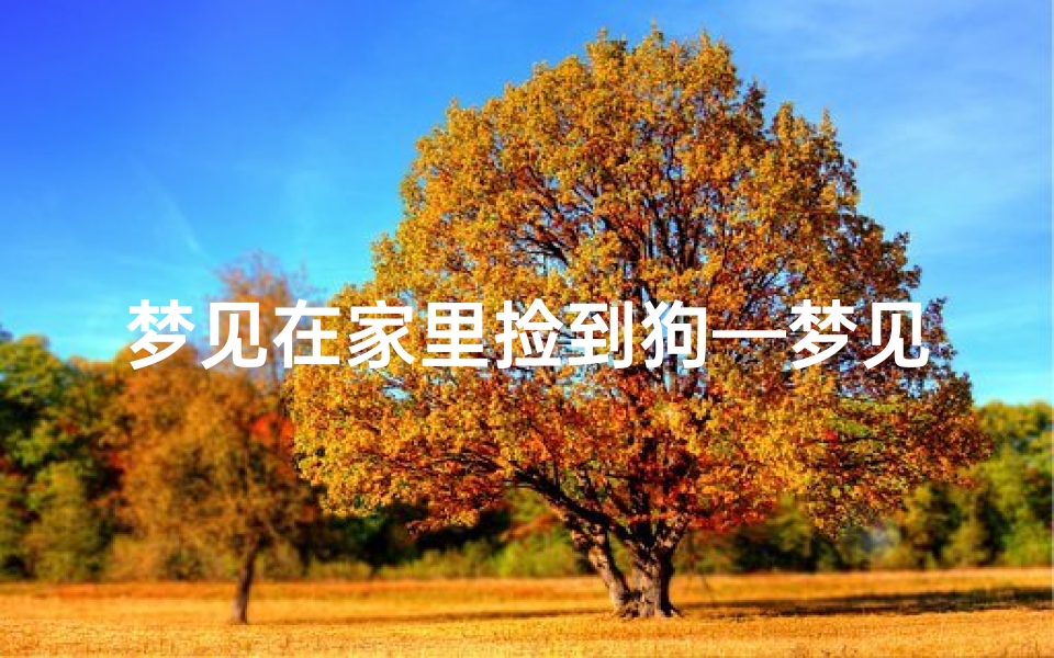 梦见在家里捡到狗—梦见自己捡了一条狗回家养-算卦网