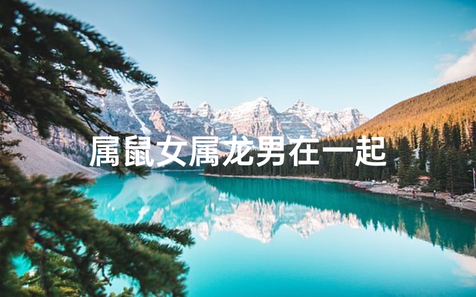 属鼠女属龙男在一起