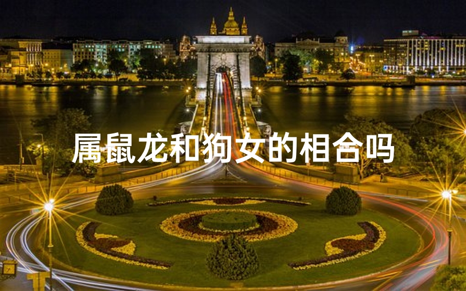 属鼠龙和狗女的相合吗-算卦网