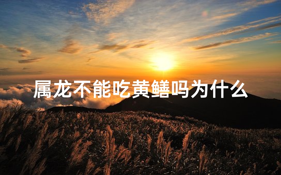 属龙不能吃黄鳝吗为什么