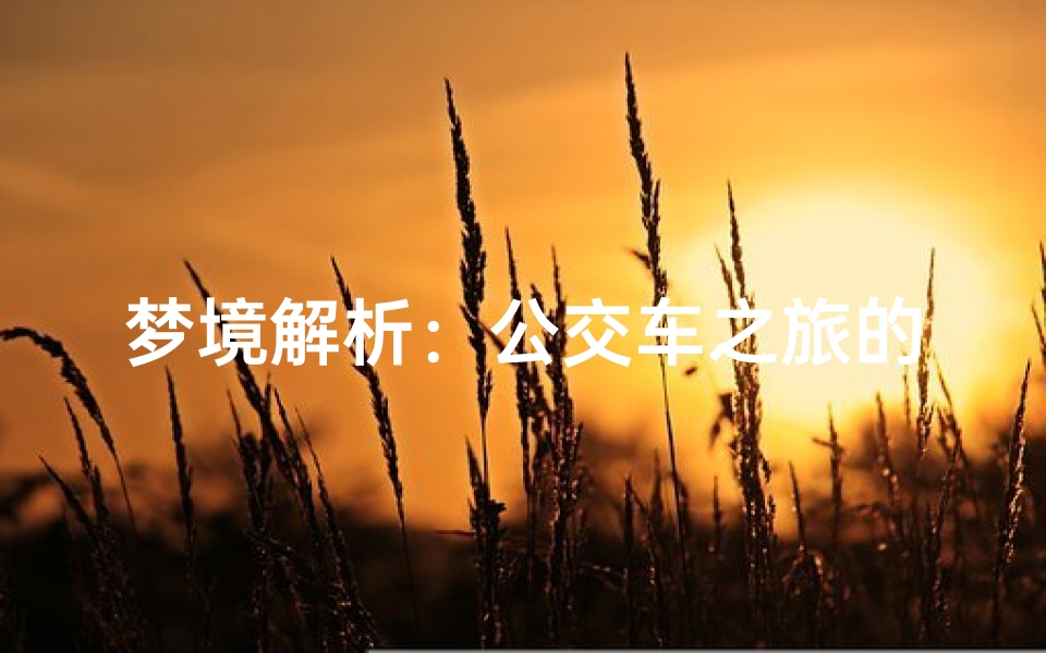 梦境解析:公交车之旅的象征意义,探索潜意识的奥秘