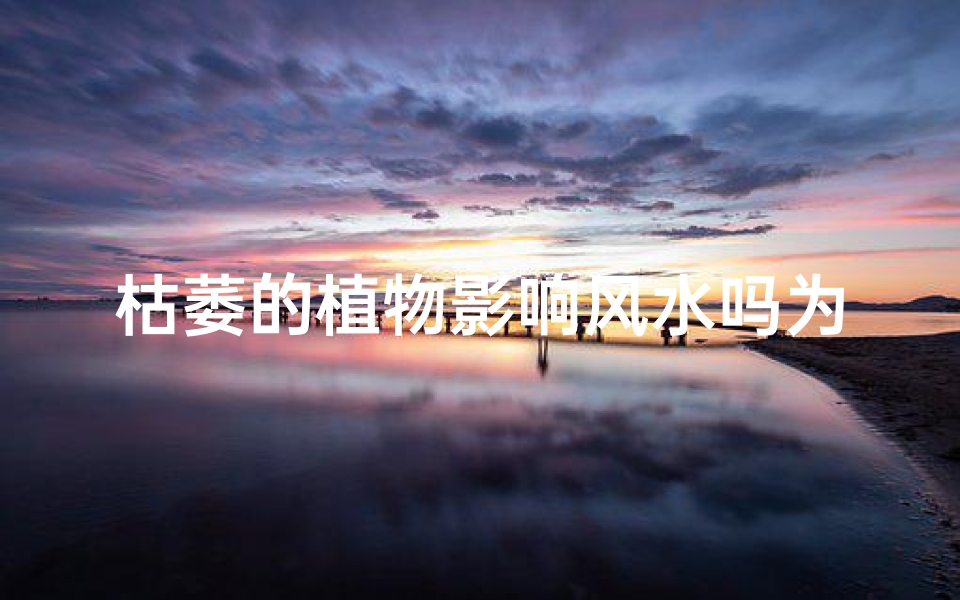 枯萎的植物影响风水吗为什么,枯萎植物风水影响揭秘
