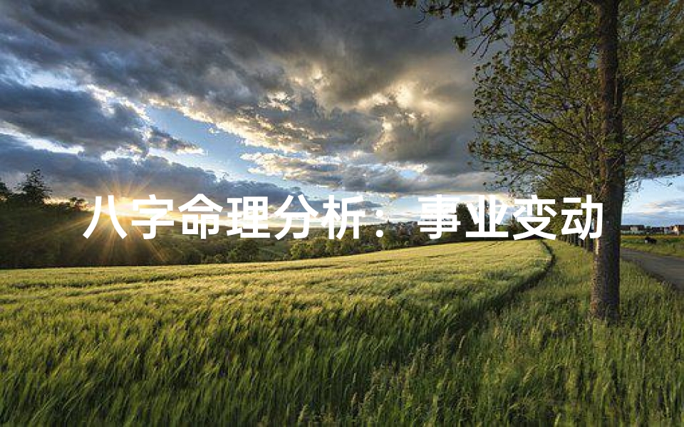 八字命理分析：事业变动的预测与指导