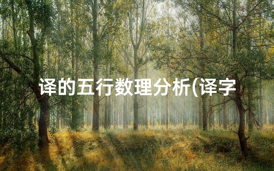 译的五行数理分析(译字的寓意及象征)