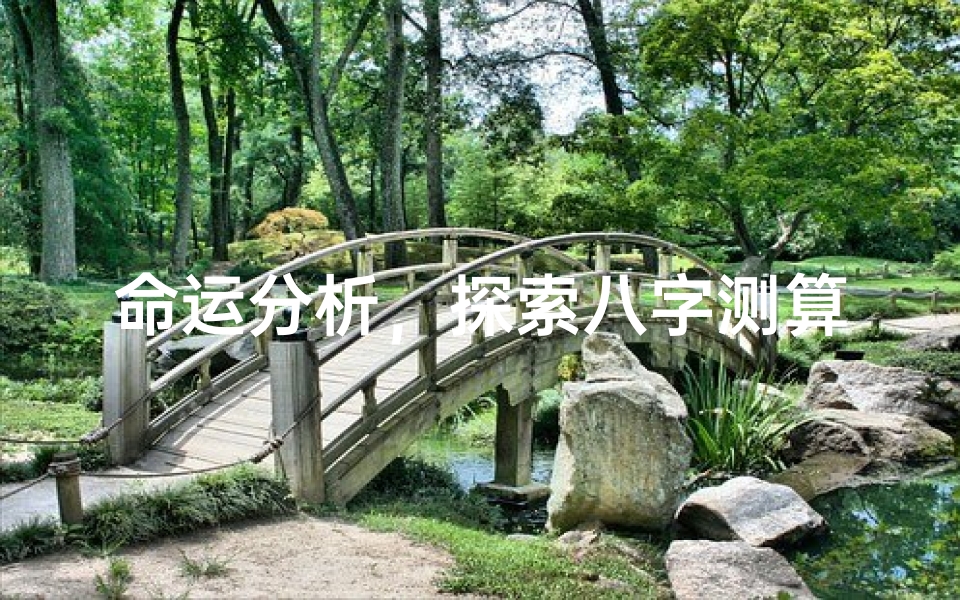命运分析,探索八字测算的奥秘