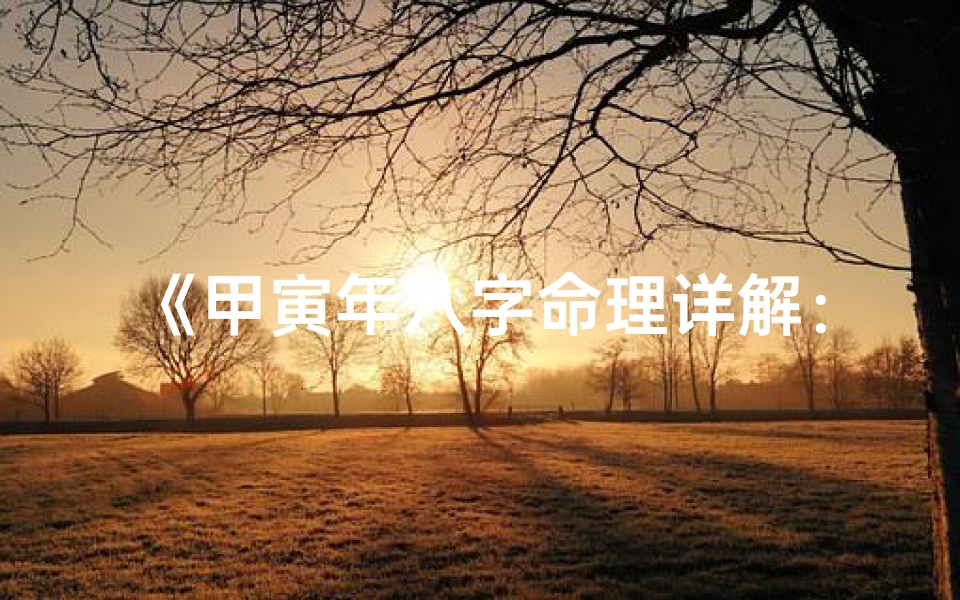 《甲寅年八字命理详解:全面解析人生运势秘籍》