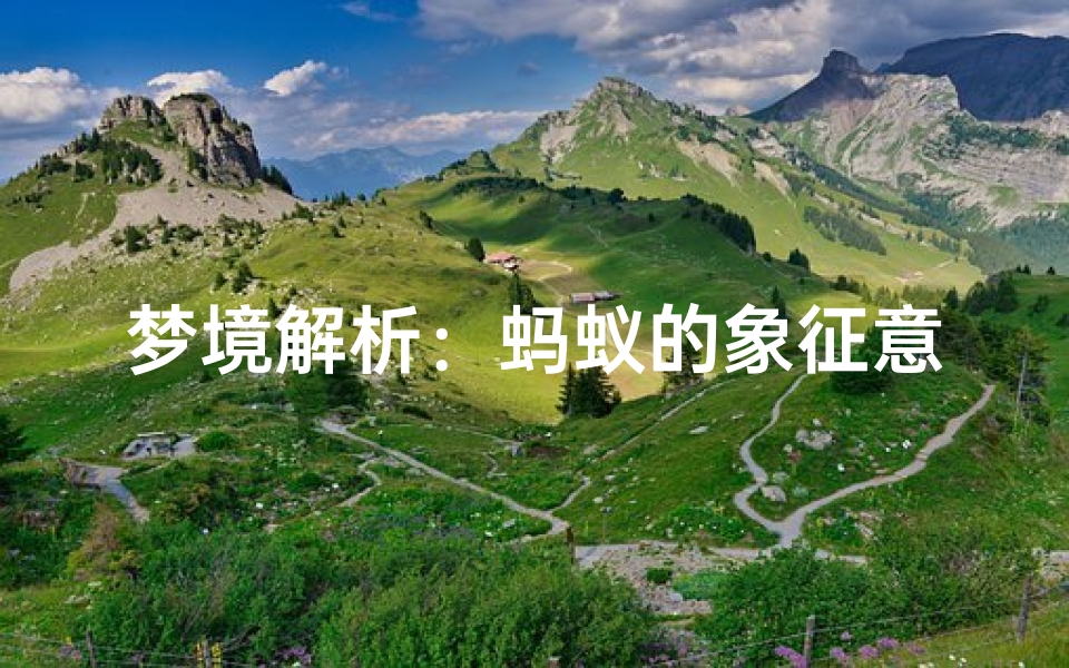 梦境解析:蚂蚁的象征意义,探索潜意识的奥秘