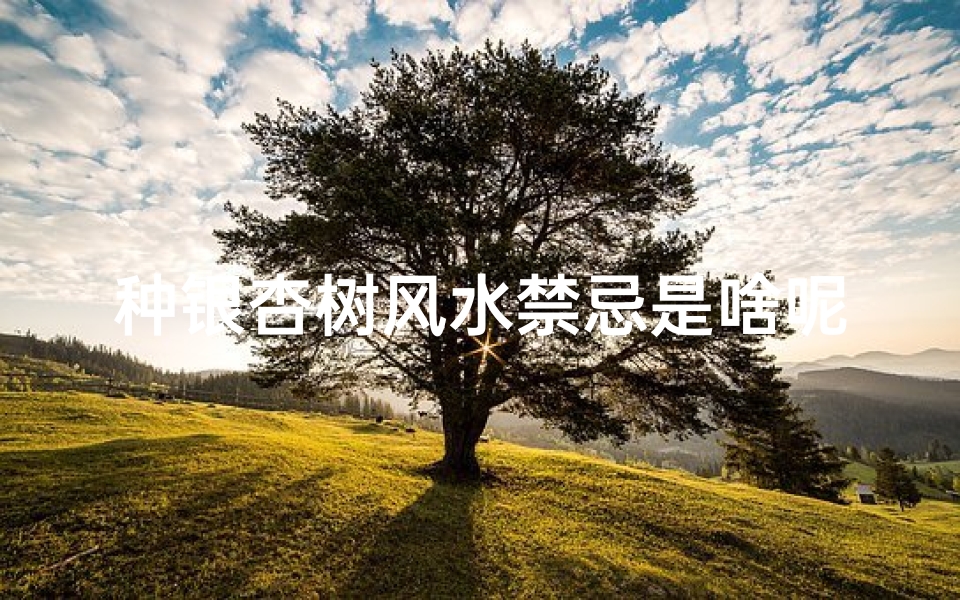 种银杏树风水禁忌是啥呢(银杏树种植位置与风水 方位 禁忌 )