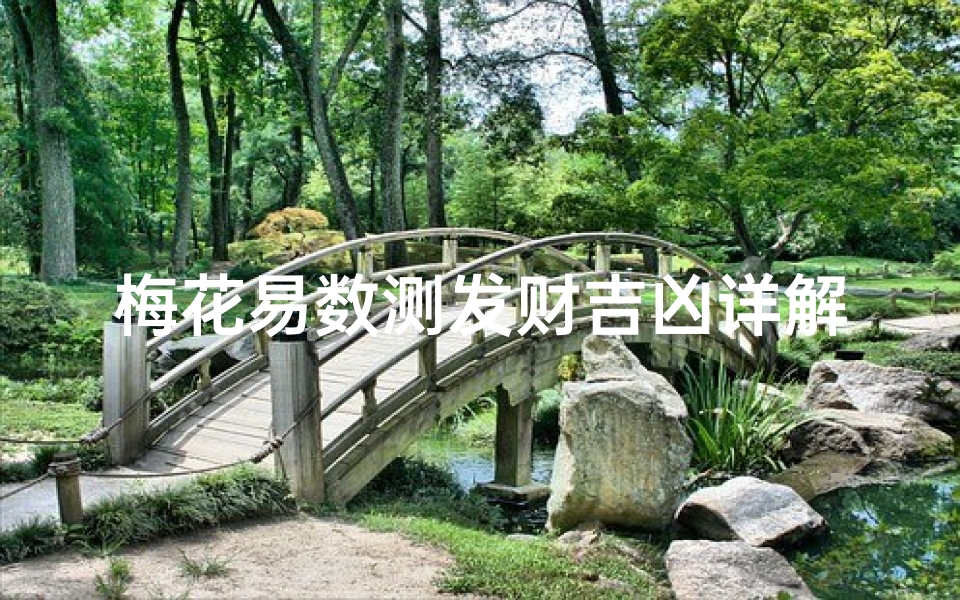梅花易数测发财吉凶详解—梅花易数测财运吉凶详解指南