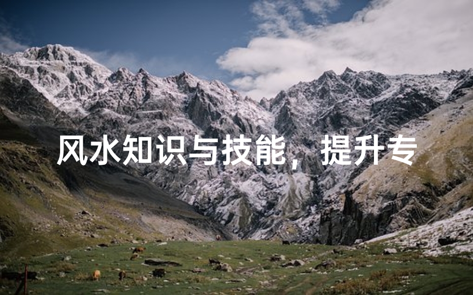 风水知识与技能,提升专业素养