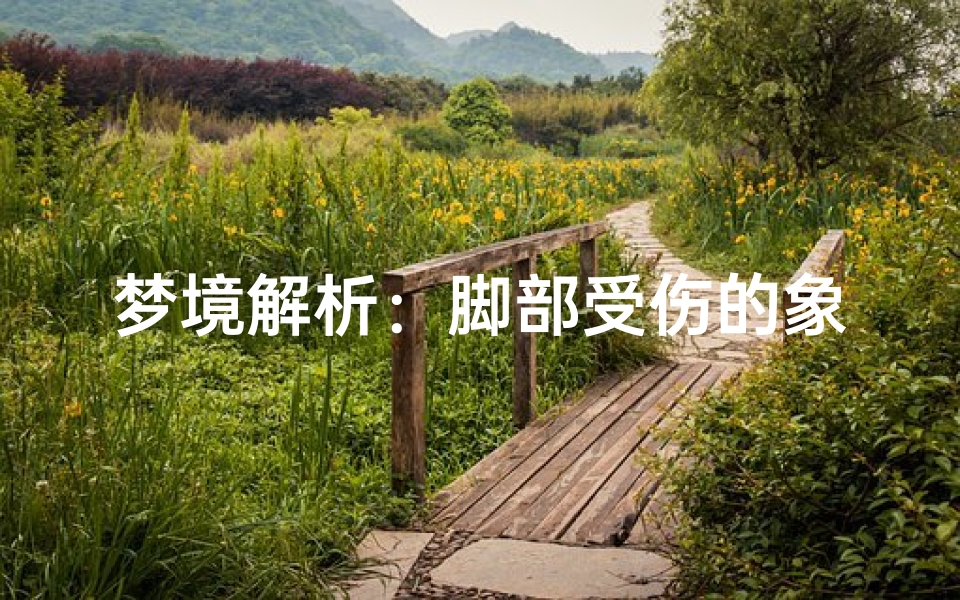 梦境解析:脚部受伤的象征意义,揭示内心世界