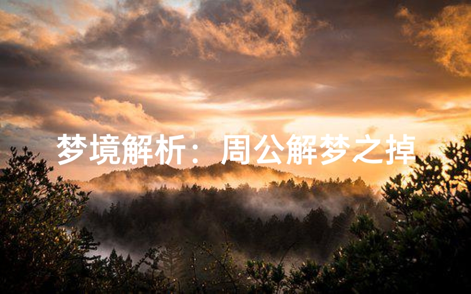 梦境解析:周公解梦之掉进粪坑,象征意义与心理分析