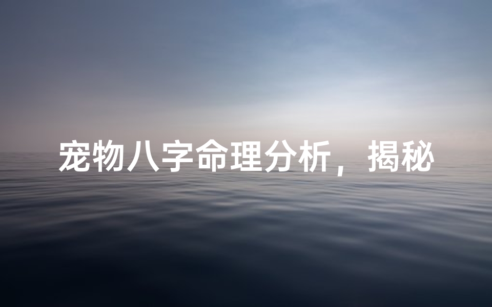 宠物八字命理分析,揭秘宠物性格与命运