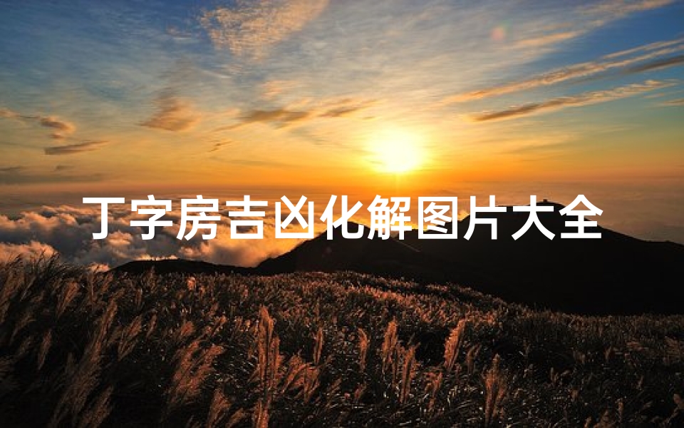 丁字房吉凶化解图片大全、《丁字房吉凶化解秘籍:图片大全解析》