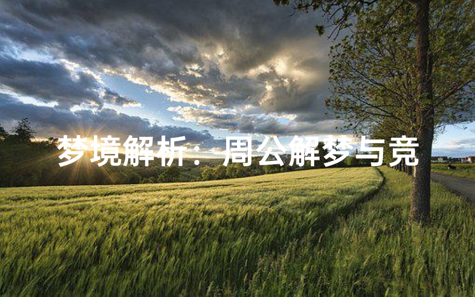 梦境解析:周公解梦与竞争精神