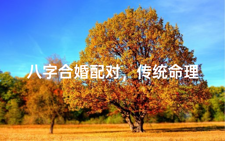 八字合婚配对,传统命理的现代解读