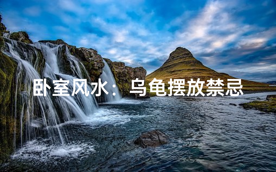卧室风水:乌龟摆放禁忌与宜忌
