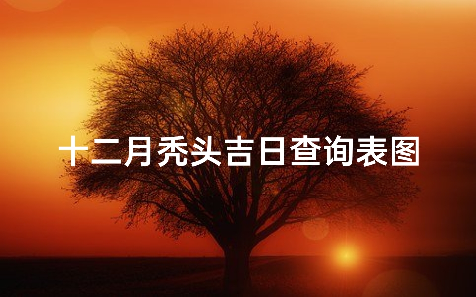 十二月秃头吉日查询表图片;十二月呢