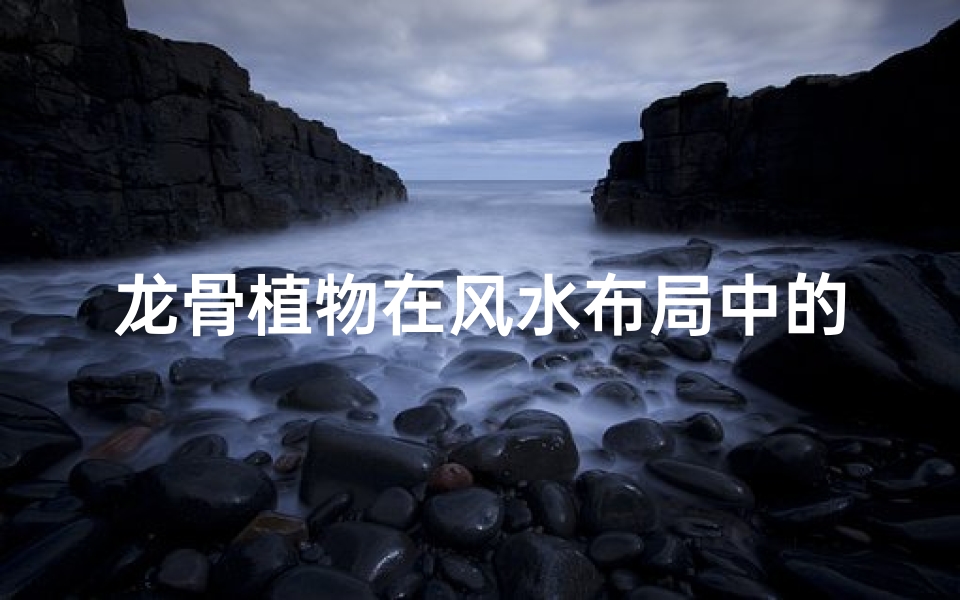 龙骨植物在风水布局中的应用与实践
