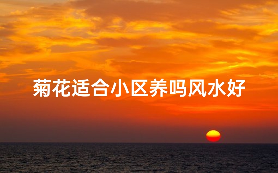 菊花适合小区养吗风水好吗(菊花适合养家里吗?)