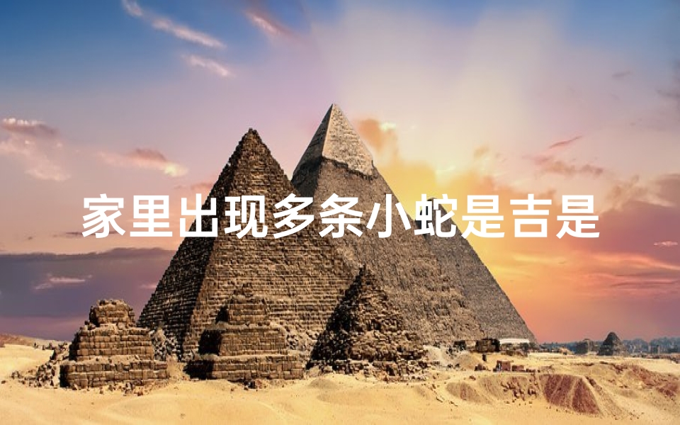 家里出现多条小蛇是吉是凶—《家中蛇的数量:吉凶揭秘与运势分析》