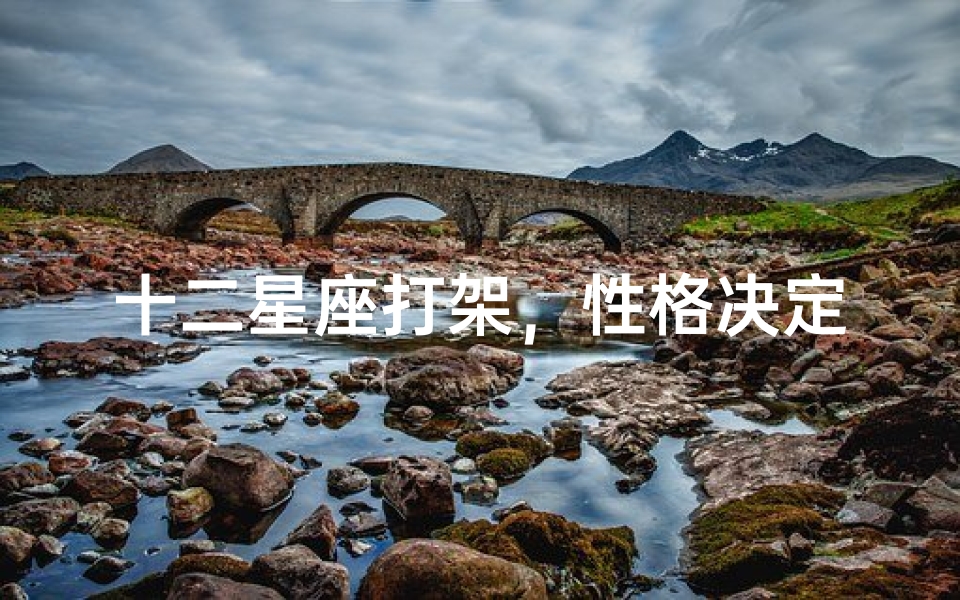 十二星座打架,性格决定应对策略-星座冲突解析