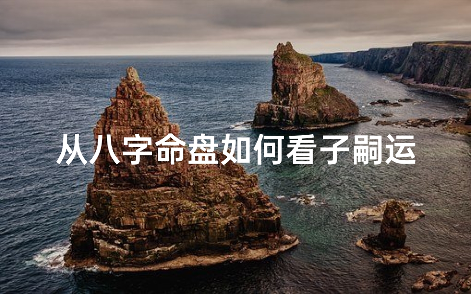 从八字命盘如何看子嗣运势、八字命盘揭秘:精准分析子嗣运势