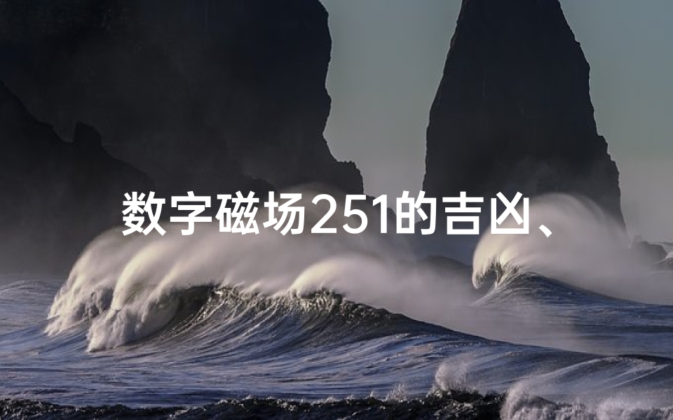 数字磁场251的吉凶、514数字磁场