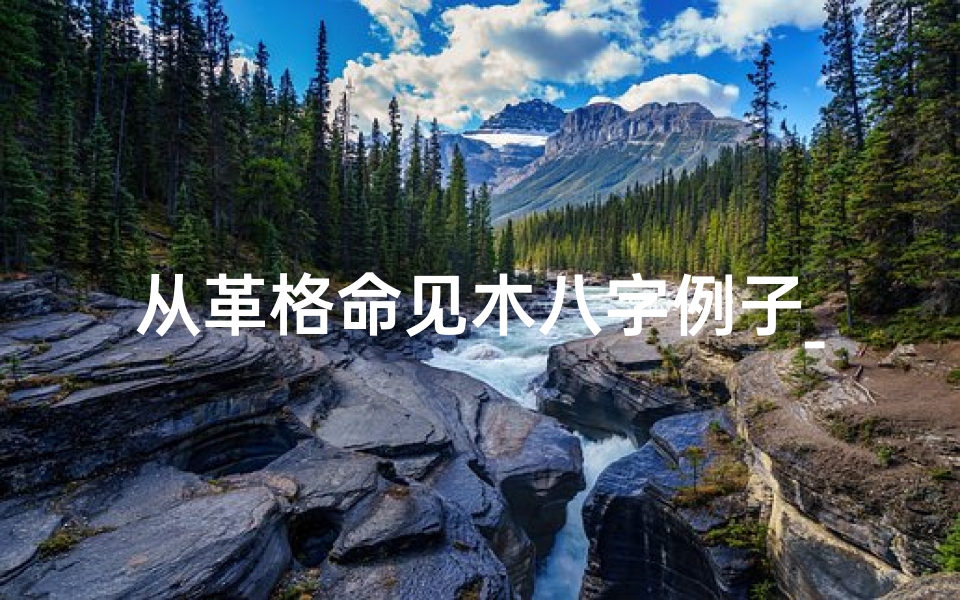 从革格命见木八字例子_从革格的最佳命式