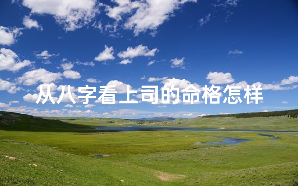 从八字看上司的命格怎样—八字看领导命