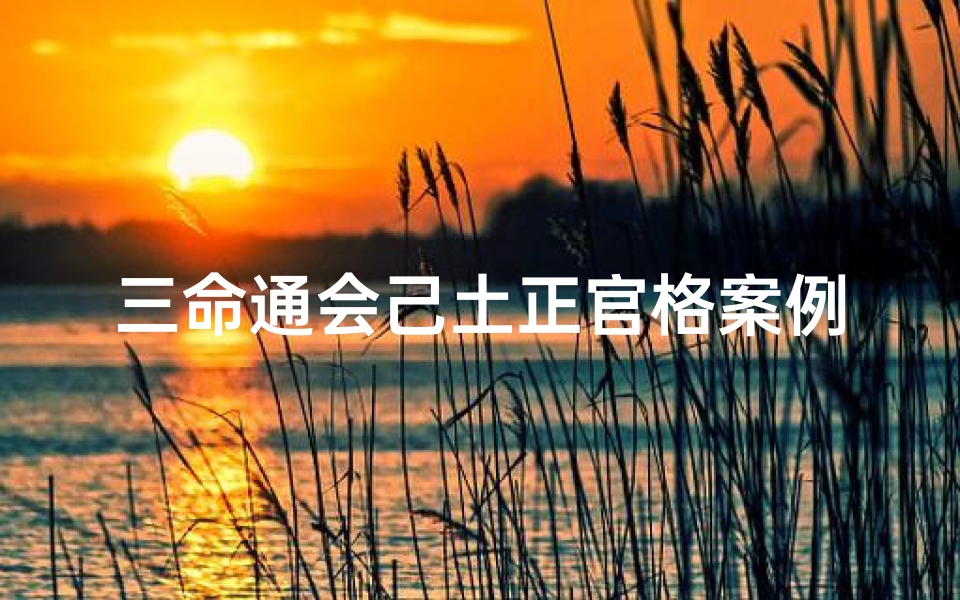 三命通会己土正官格案例_《三命通会己土正官格案例分析:命理奥秘解析》