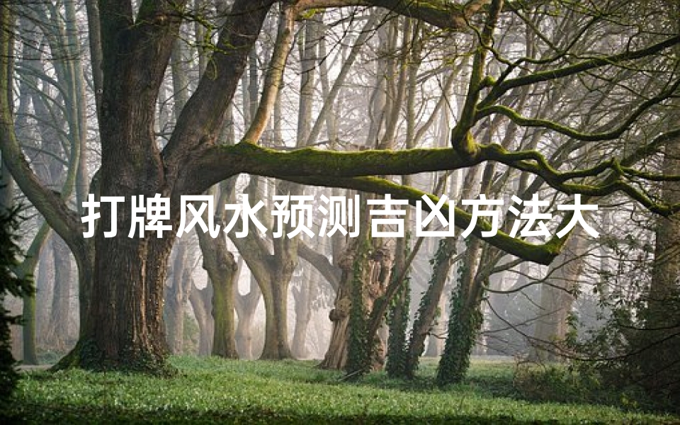 打牌风水预测吉凶方法大全_《打牌风水预测吉凶秘籍大全解析》